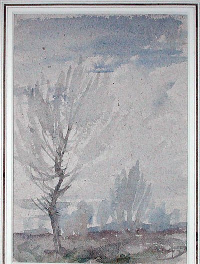 Studie van een boom door Arthur Rackham