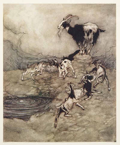 De zeven geitjes en hun moeder dansten rond de bron van vreugde, uit De Sprookjes van de Gebroeders Grimm, uitgegeven 1909 door Arthur Rackham