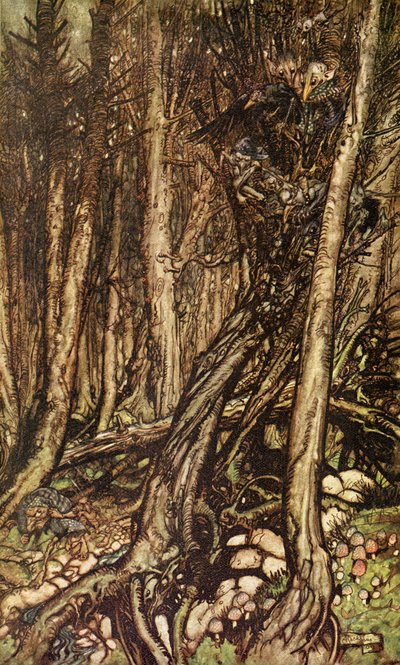 Undine door Friedrich de la Motte Fouqué door Arthur Rackham