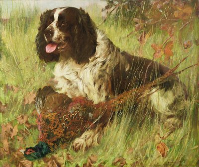 Springer Spaniël met Fazant door Arthur Wardle