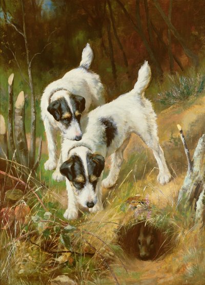 Terriërs jagen op konijnen door Arthur Wardle