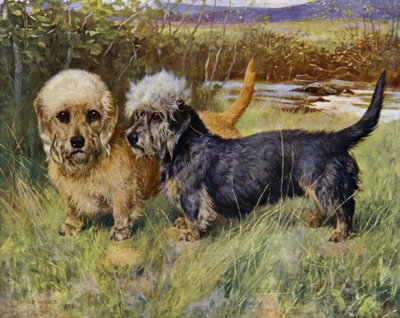 De Dandie Dinmont Terriërs, Ch Blacket House Yet, Mosterd en Ch Ancrum Fanny, Peper door Arthur Wardle
