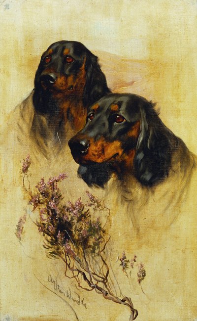 Twee Gordon Setters door Arthur Wardle