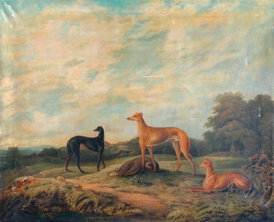 Landschap, vier windhonden op de voorgrond (olieverf op doek) door Artist Unknown