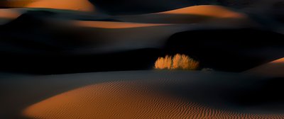  door Asef Azimaie
