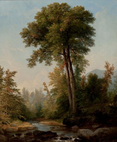 Een natuurlijke monarch door Asher Brown Durand