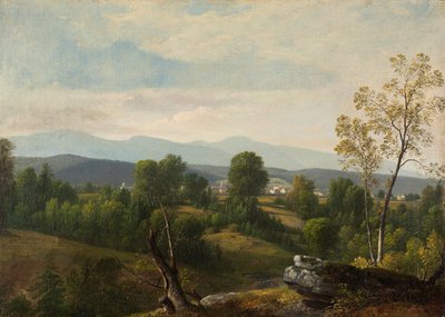Uitzicht op de vallei door Asher Brown Durand