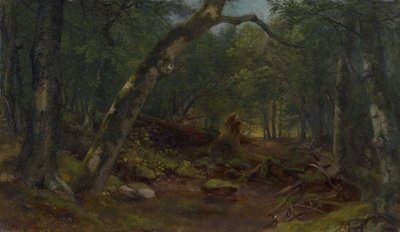  door Asher Brown Durand