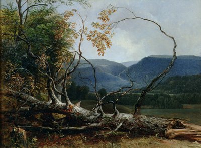 Stratton Notch, Vermont door Asher Brown Durand