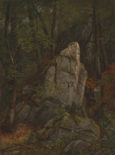 Studie van rotsen in Pearson