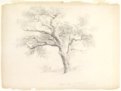 De kastanje-eik op het Hosack-landgoed, Hyde Park, New York met vijf figuren en een kunstenaar die schetst, 1838 door Asher Brown Durand