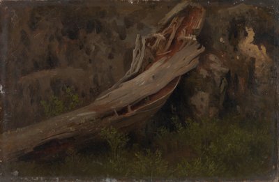 Studie van een rottende stam door August Cappelen