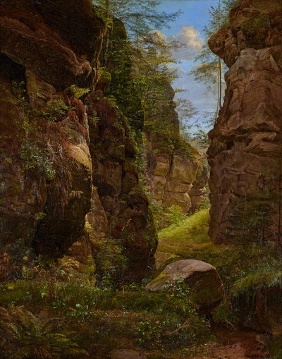 Rotskloof in de Uttewalder Grund in de Sächsische Schweiz door August Heinrich