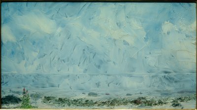 Bloemen op het strand door August Johan Strindberg