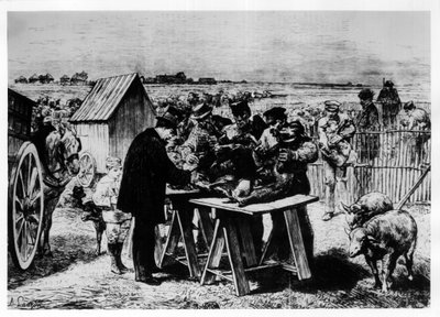 Vaccinatie van schapen door Pasteur, gravure door A. Lançon. door Auguste Andre Lancon