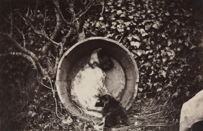 Hond en Puppy in Vat door Auguste Giraudon