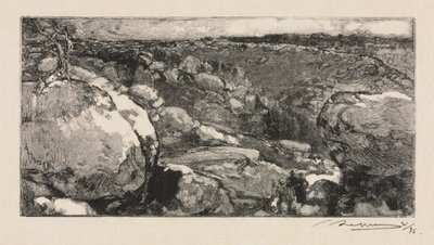 Bos van Fontainebleau: De Cirque van Long-Rocher, 1888 door Auguste Louis Lepère