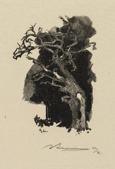 Fontainebleau Bos: De Woedende door Auguste Louis Lepère