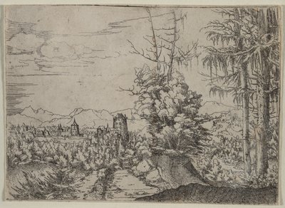 Landschap met twee dennen door Augustin Hirschvogel