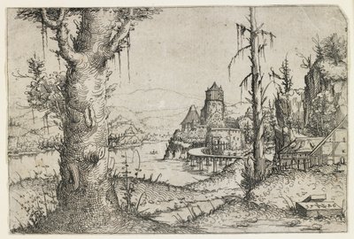 Grote boom en kasteel aan een meer door Augustin Hirschvogel