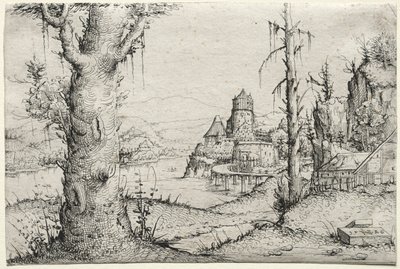 Rivierlandschap met grote boom links door Augustin Hirschvogel