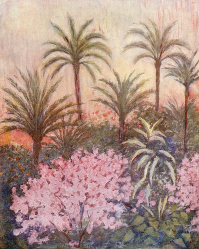 Een palmenbos in Murcia (kleurenlitho) door Augustine Fitzgerald