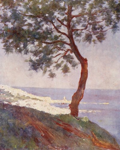 Uitzicht op Algiers vanaf Mustapha Superieur (kleurenlitho) door Augustine Fitzgerald