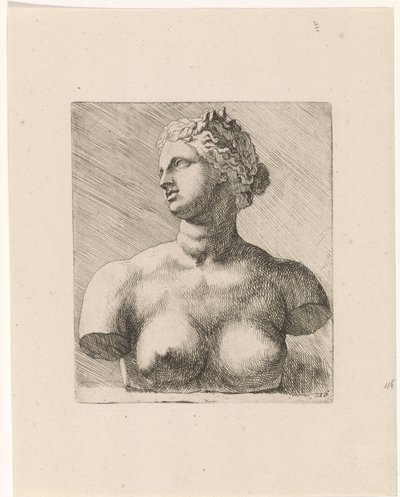 Buste van Venus de