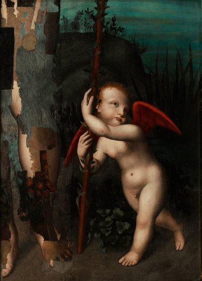 Cupido met een mirte, voor 1593 door Aurelio Luini