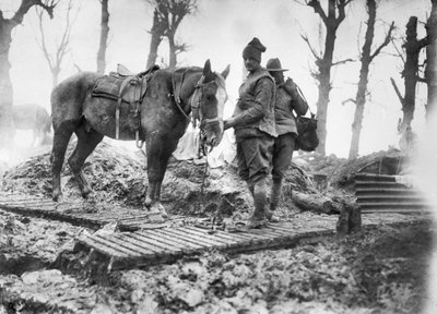 Een artilleriepaard gebruikt voor het transporteren van munitie naar de kanonnen en zijn onbekende Australische bestuurder op een eendenbordpad tussen Mametz en Montauban, december 1916 door Australian Photographer