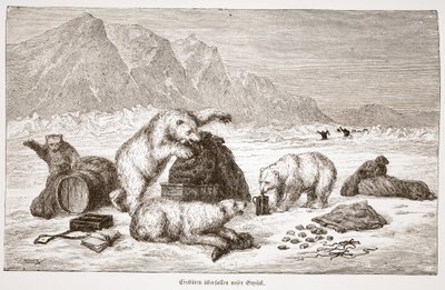 Eisbären überfallen unser Gepäck (Poolberen vallen onze bagage aan) pub. Wenen 1876 door Austrian School