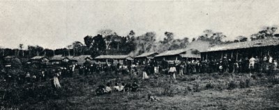 Colonia Italiana Fazenda Arindiuba, 1895 door Axel Frick