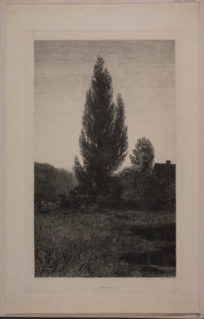 Deens: Sommeraften door Axel Holm