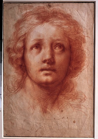 Studie van een vrouwenhoofd, de vaste blik omhoog gericht. Tekening in inkt en was door Franceschini Baldassare genaamd il Volterrano (1611-1689). 17e eeuw. Dim. 0,42x0,28m. Parijs, Louvre Museum door Baldassare  Franceschini