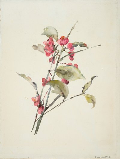 Roze bloemen door Barbara Leigh Smith Bodichon