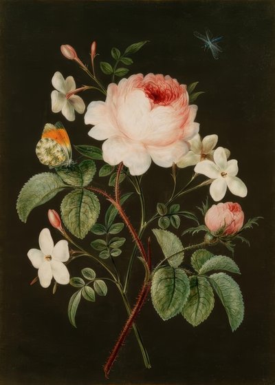Boeket van Roos en Jasmijn door Barbara Regina Dietzsch