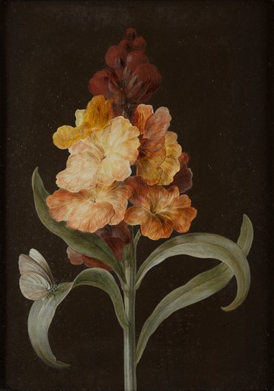 Set van vier stillevens met vlinders door Barbara Regina Dietzsch