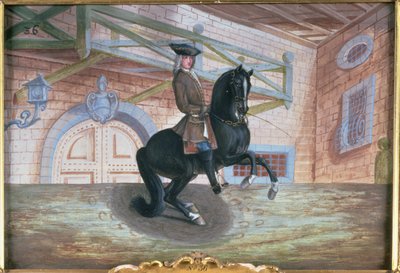 Nr. 36 Een bruine baai paard van de Spaanse Rijschool die een pirouette uitvoert dicht bij de grond door Baron Reis Eisenberg