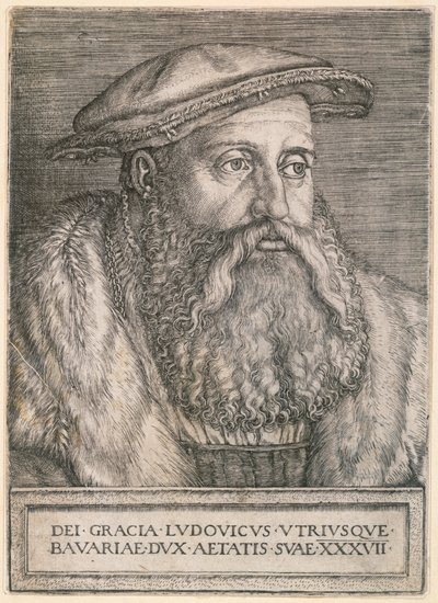  door Barthel Beham