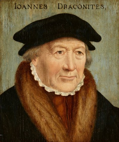 Portret van Johannes Draconieten door Bartholomaeus Bruyn the Elder