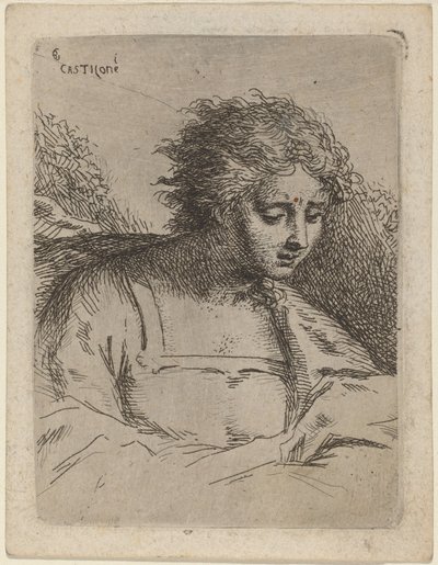 Half-lengte figuur lezend door Bartholomäus Ignaz Weiss