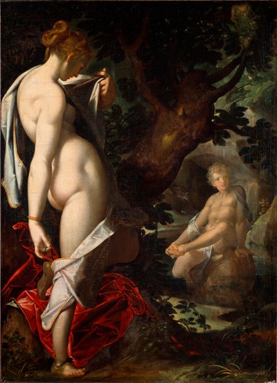 De najade Salmacis bewondert Hermafrodiet die in een bron baadt door Bartholomaeus Spranger
