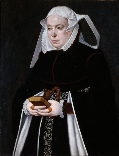 Portret van een vrouw, ca. 1560-70 (olieverf op paneel) door Bartholomaus the Younger Bruyn