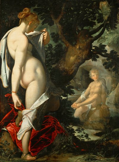 Duits: Hermaphroditus und die Nymphe Salmacis Hermaphroditus en de nimf Salmacis door Bartholomeus Spranger