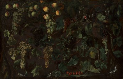 Druivenranken en fruit, met drie kwikstaarten, ca. 1615-18 door Bartolomeo Cavarozzi