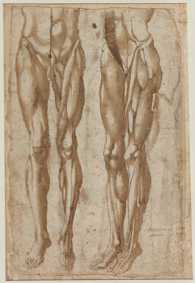 Twee Studies van een Gevild Man recto Studie van een Gevild Torso verso, 1554 door Bartolommeo da Arezzo