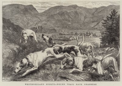 Westmoreland Sports, Hound Trial Race, Grasmere door Basil Bradley
