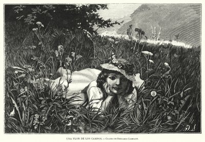Een bloem van de velden door Benjamin  Constant