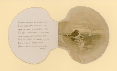 Illustratie voor boekje getiteld Zeeschelpen (kleur litho) door Benjamin D. Sigmund