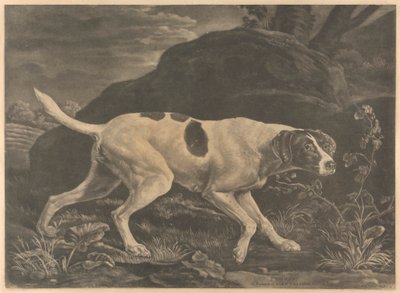 [Schieten] 